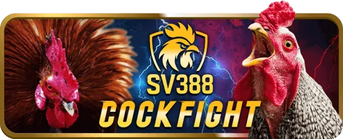 Đá gà Philippines SV388